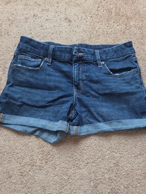 American Eagle Outfitters Dark Blue Denim Cuffed Shorts